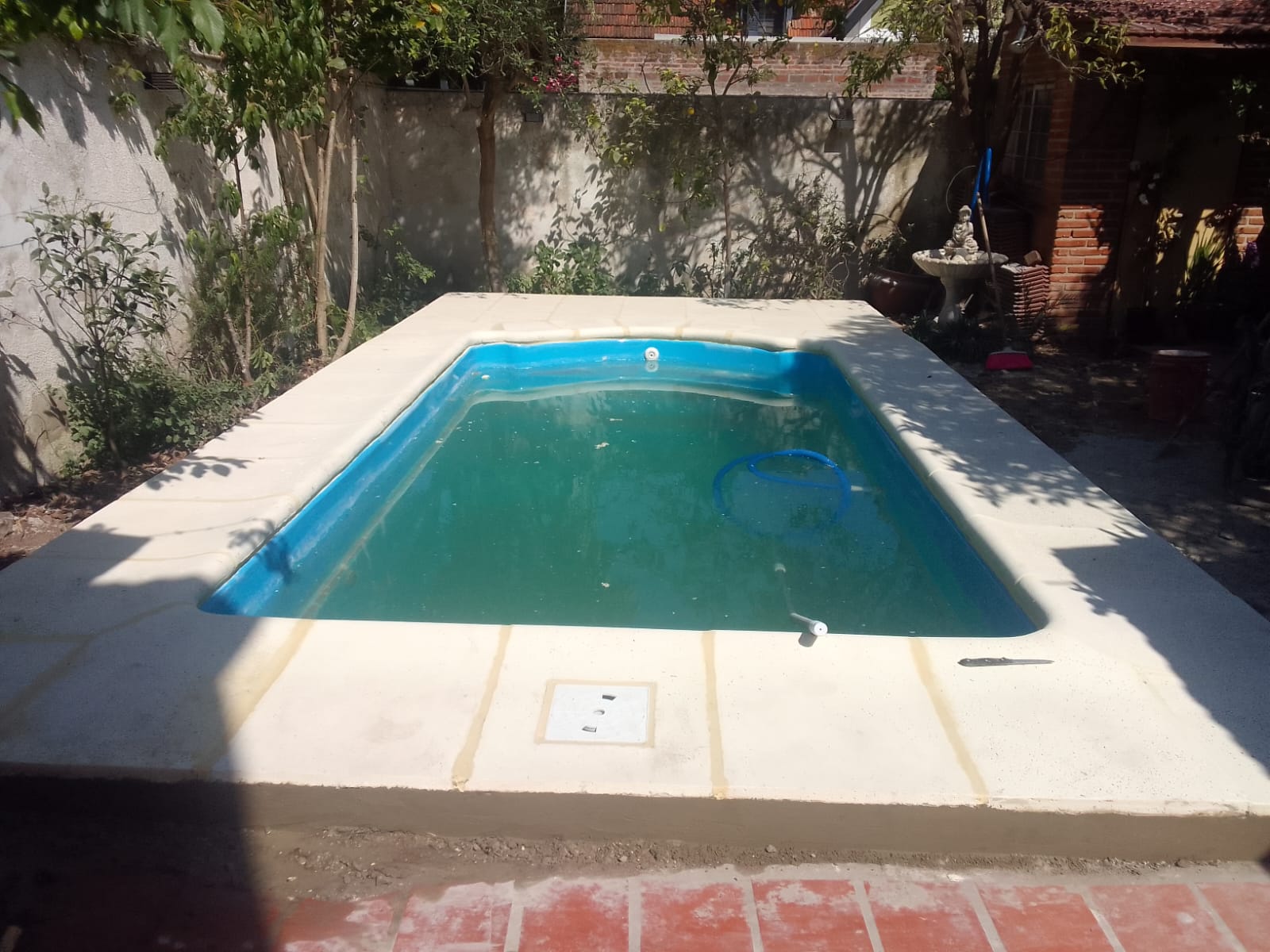 AT-2 BORDE BALLENA 🐳 