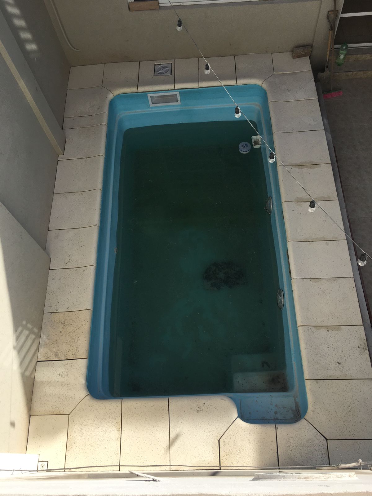 AT-2 BORDE BALLENA 🐳 