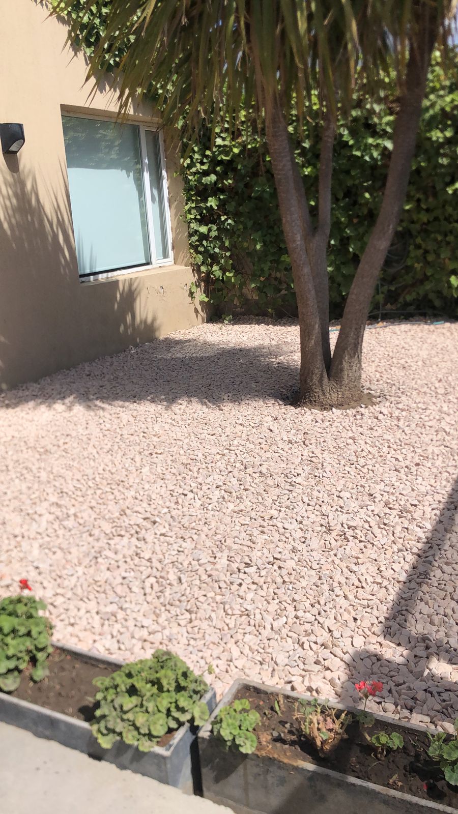 Piedra Mar Del Plata Partida