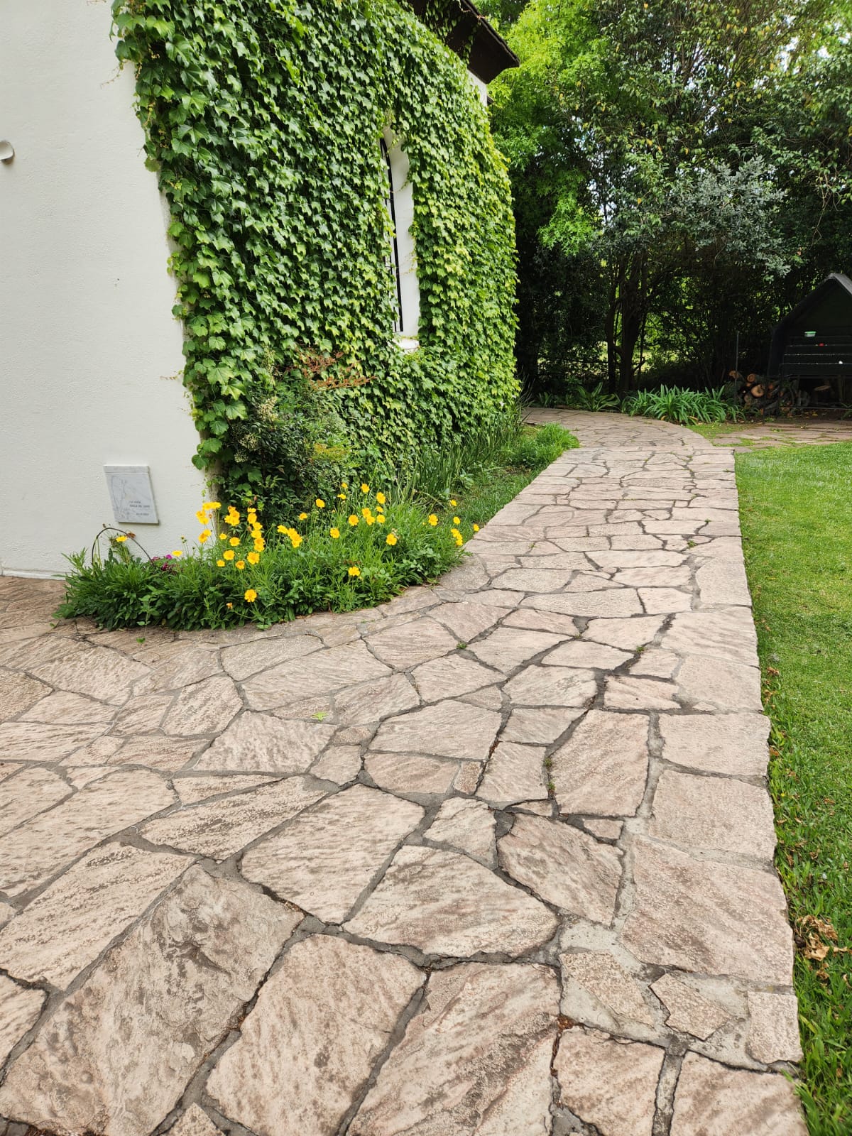 LAJA IRREGULAR RIOJANA