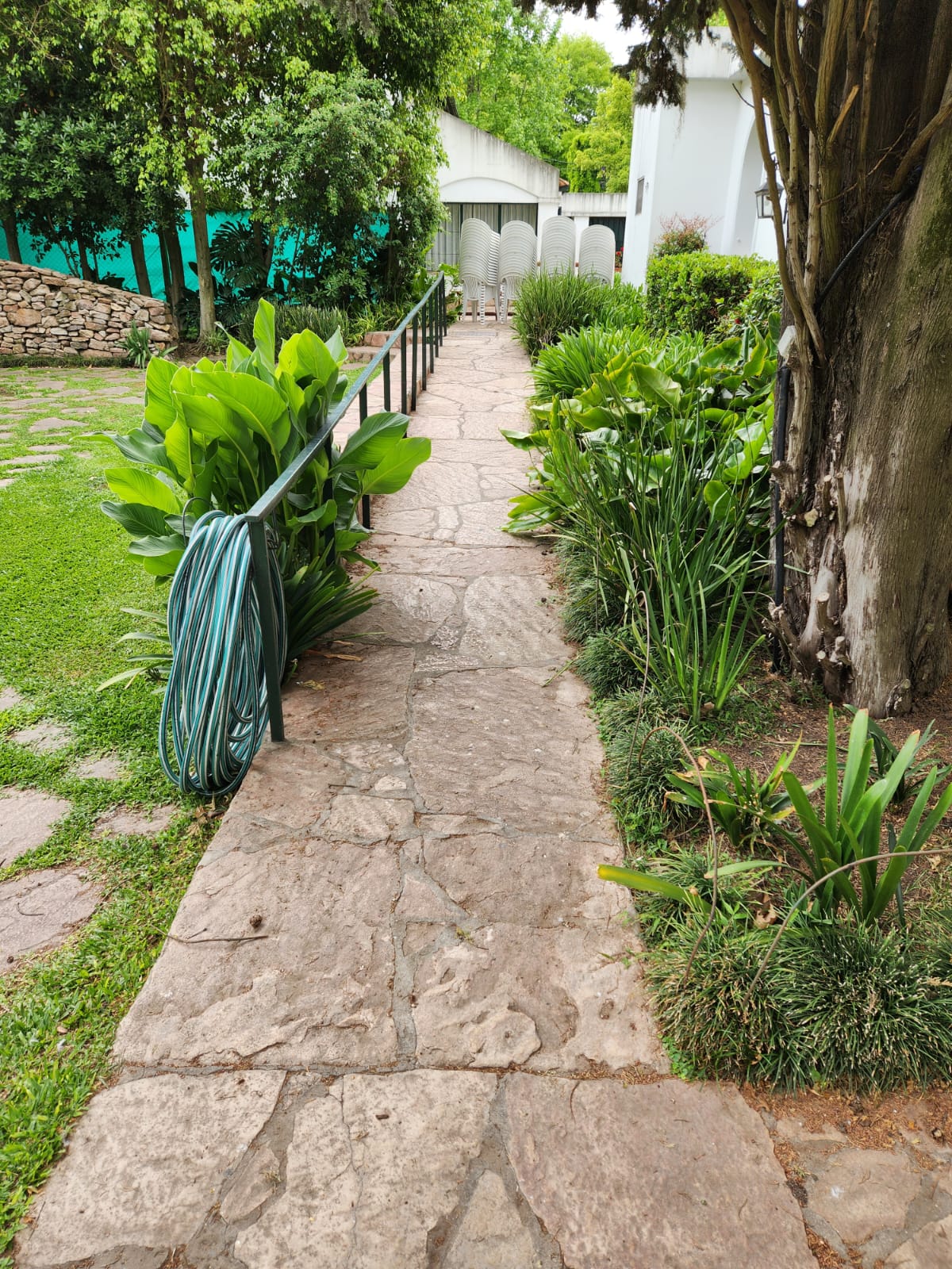 LAJA IRREGULAR RIOJANA