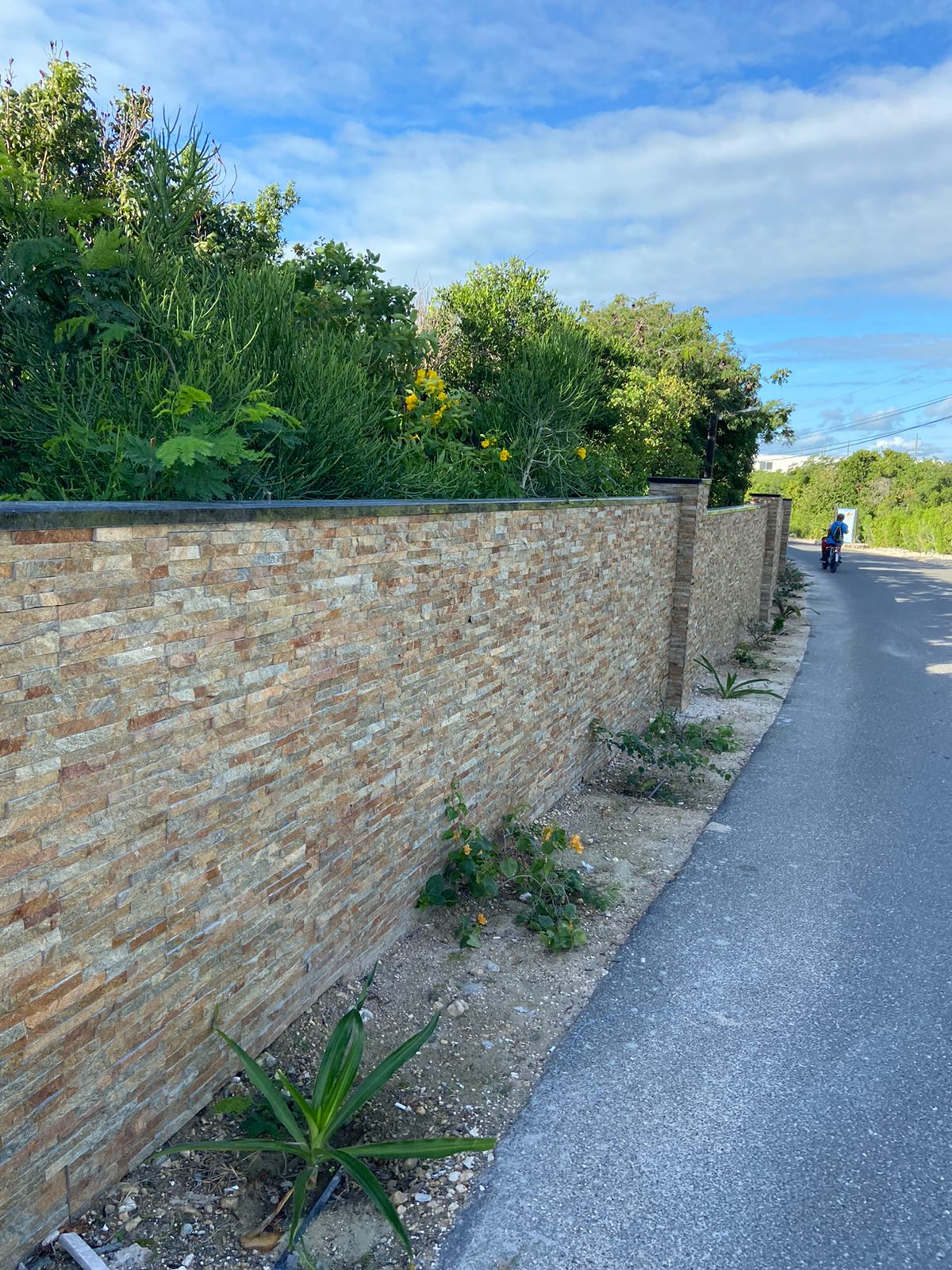 LAJA OXIDO SAN JUAN EARTH QUARTZ