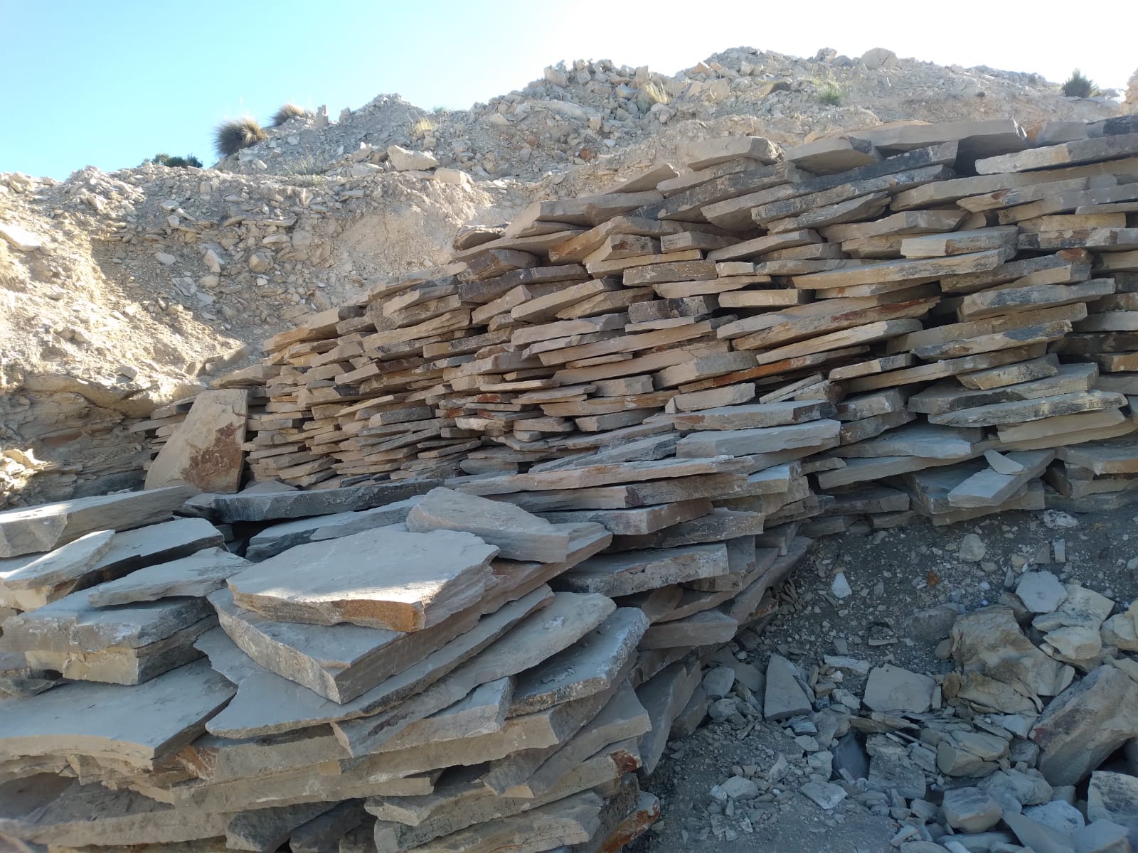 LAJA IRREGULAR NEUQUEN GRUESA