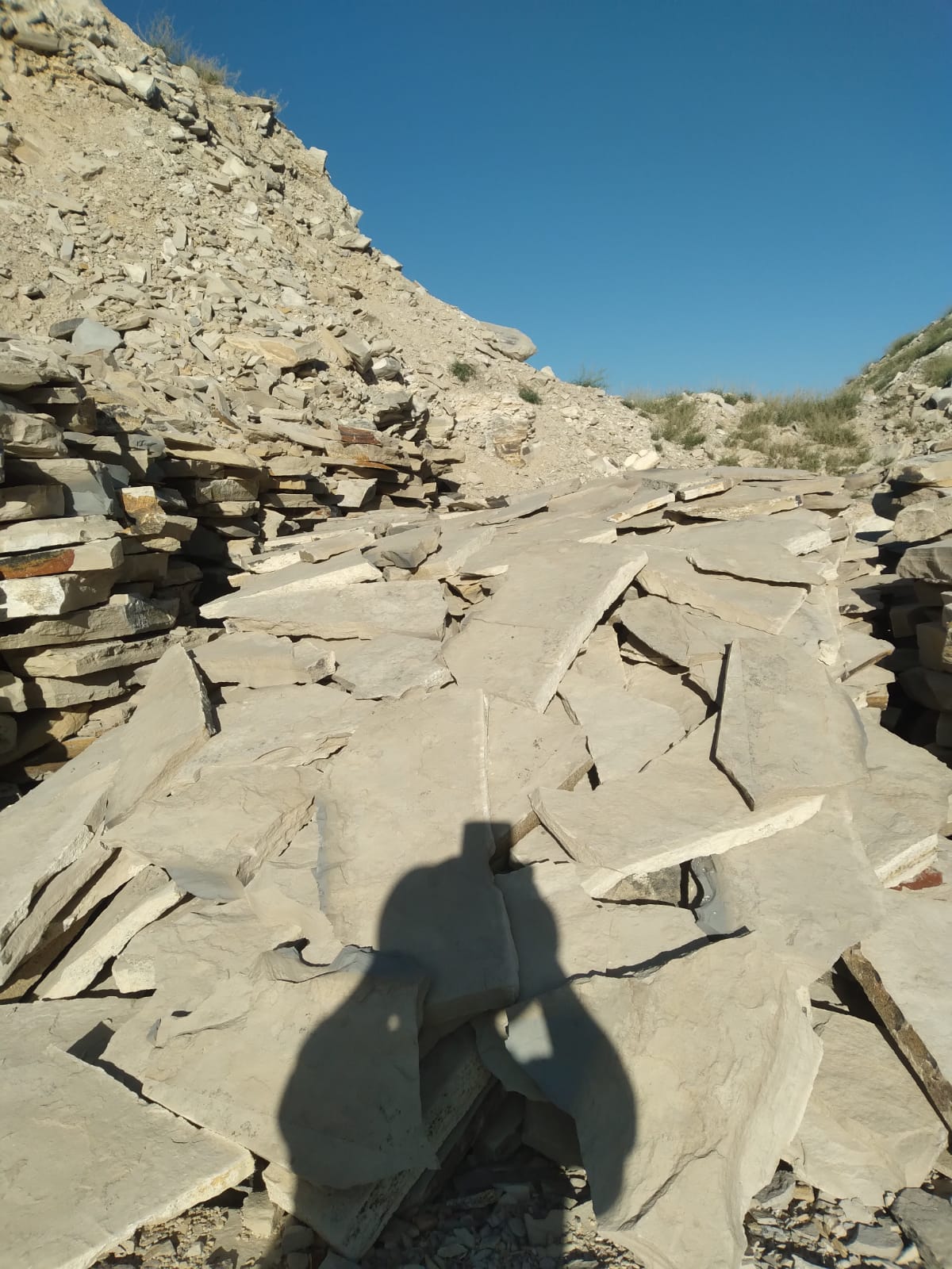 LAJA IRREGULAR NEUQUEN GRUESA