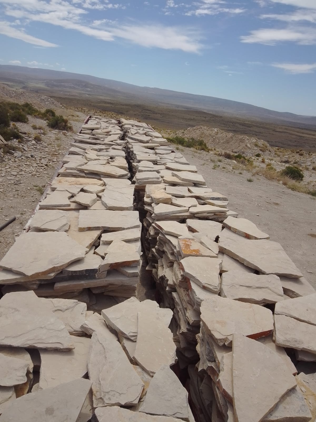 LAJA IRREGULAR NEUQUEN GRUESA